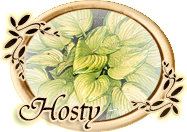 Hosty Marzeny