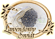 Lawendowy Świat Marzeny