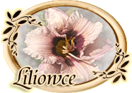 Liliowce Marzeny