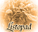 listopad